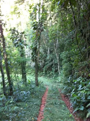 Resort para venda em Alambari